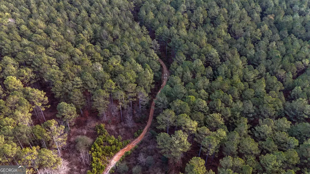 557 Acres on Taliaferro Springs RD Lyerly, GA 30730
