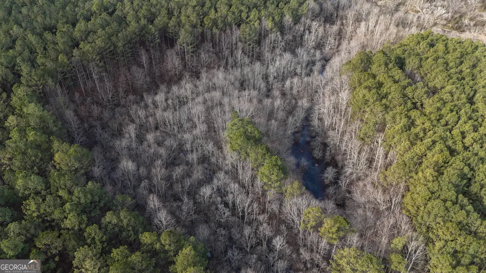 557 Acres on Taliaferro Springs RD Lyerly, GA 30730