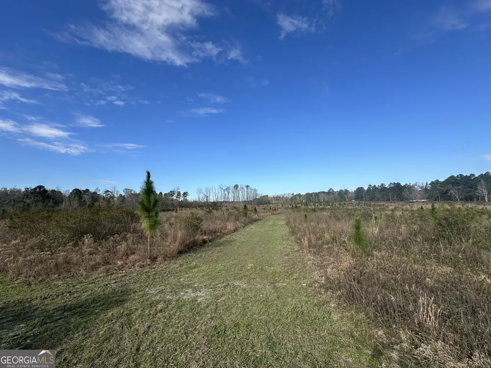1334 Shady LN Sylvania, GA 30467