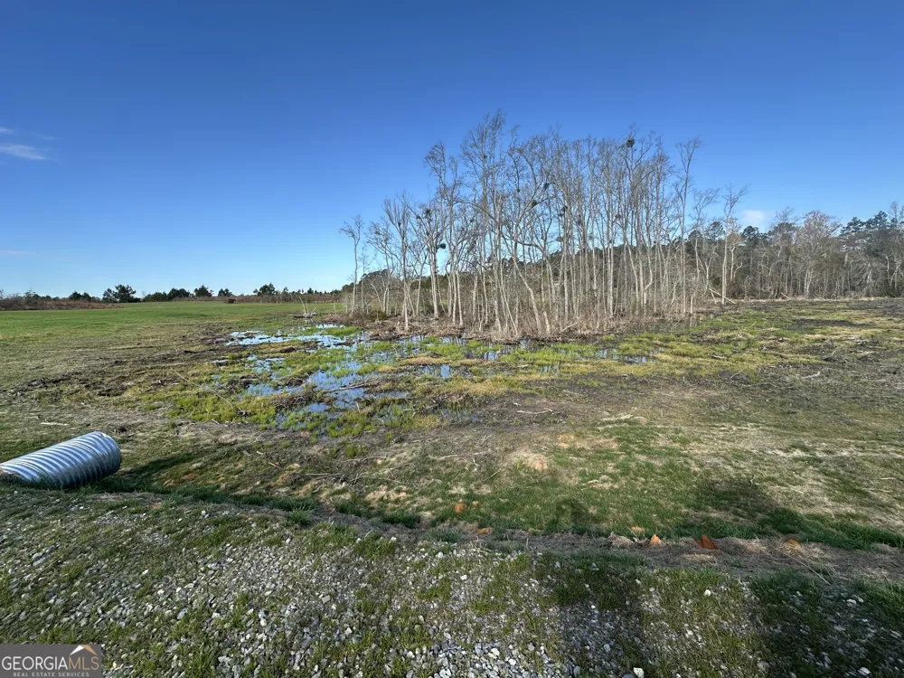 1334 Shady LN Sylvania, GA 30467