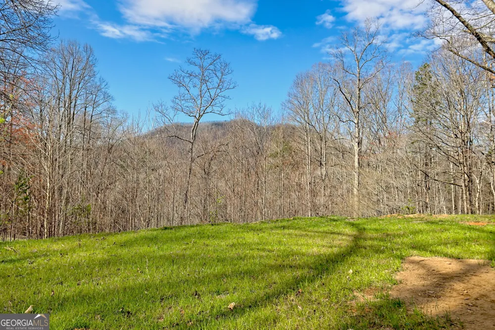 472 Hogsed DR Hayesville, NC 28904