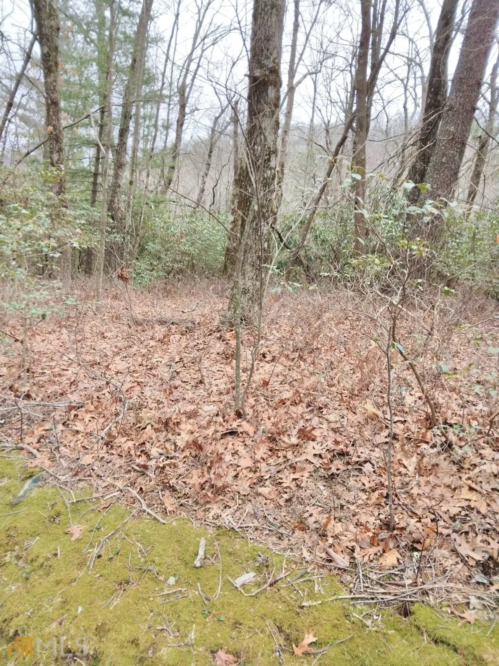 0 LOT 10 & 11 Honey Bear Dillard, GA 30537