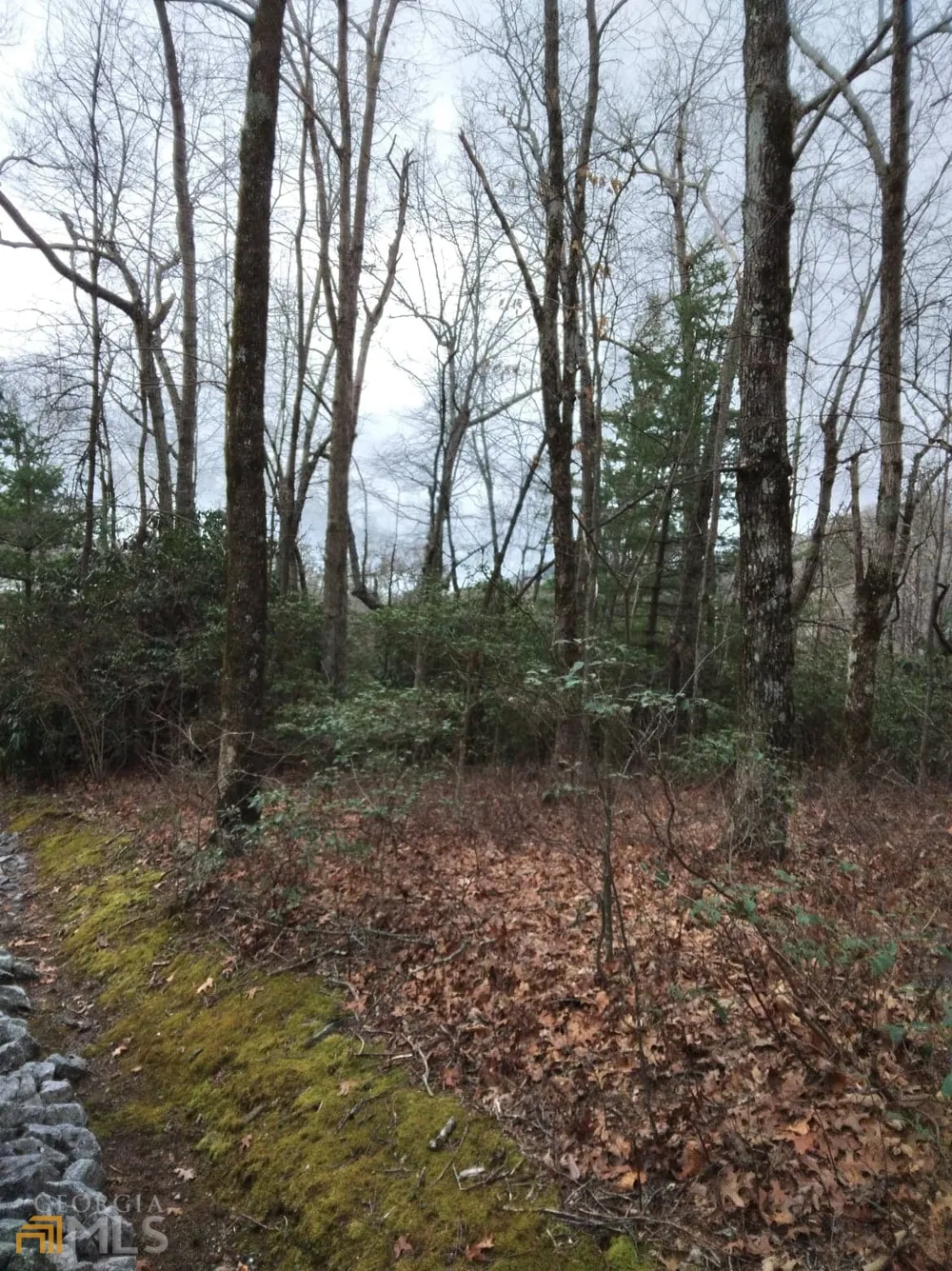 0 LOT 10 & 11 Honey Bear Dillard, GA 30537