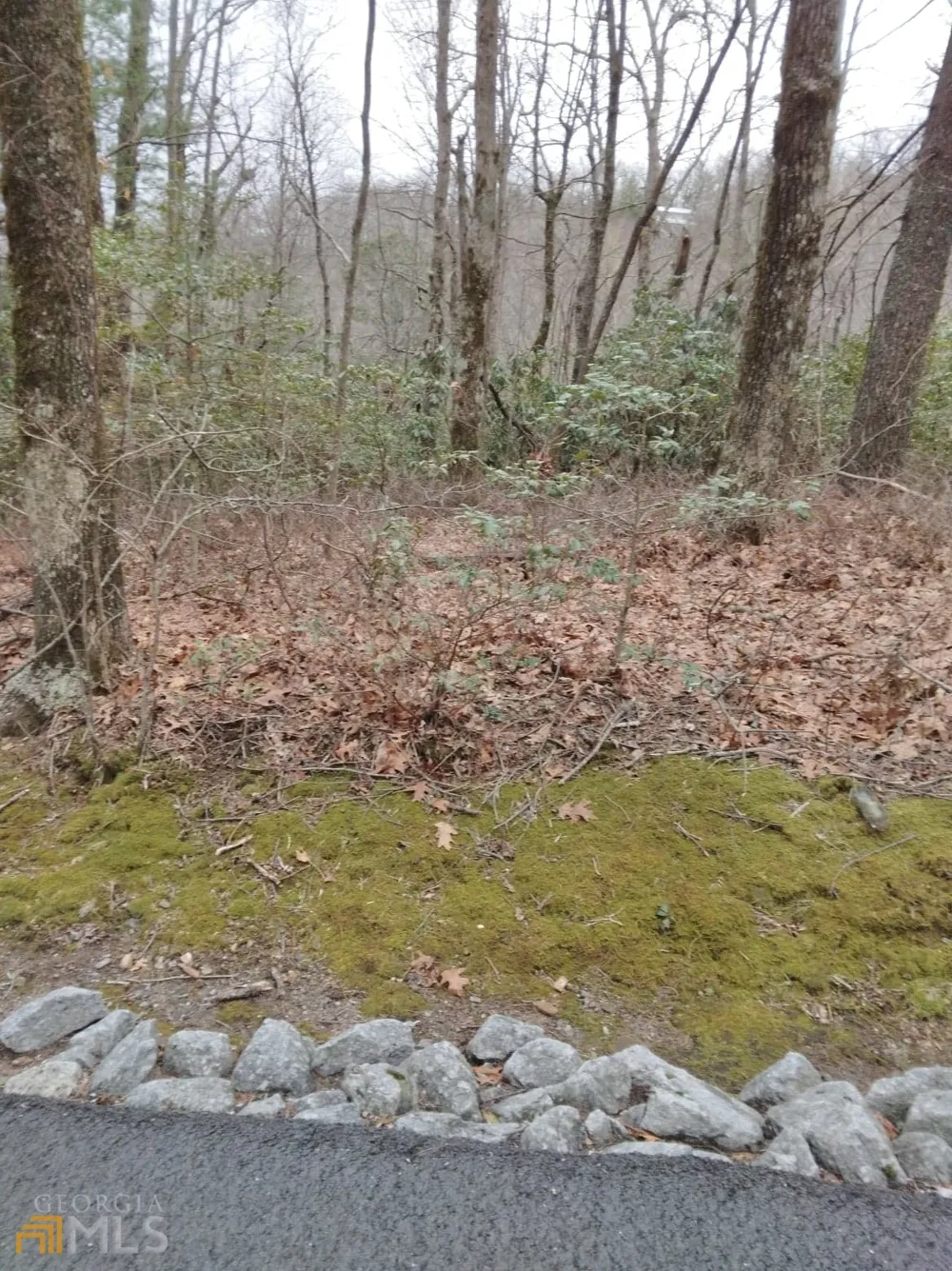 0 LOT 10 & 11 Honey Bear Dillard, GA 30537