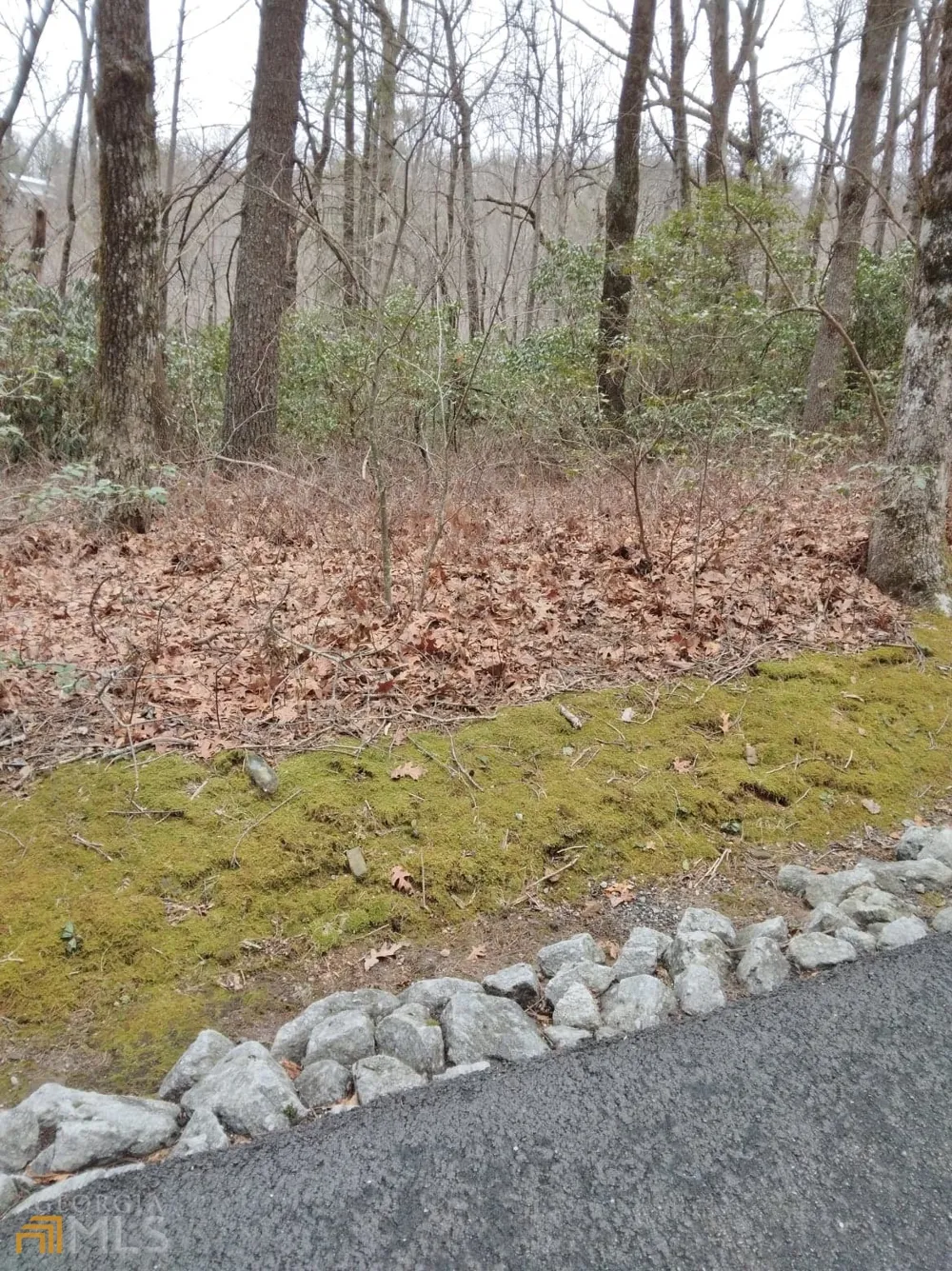 0 LOT 10 & 11 Honey Bear Dillard, GA 30537