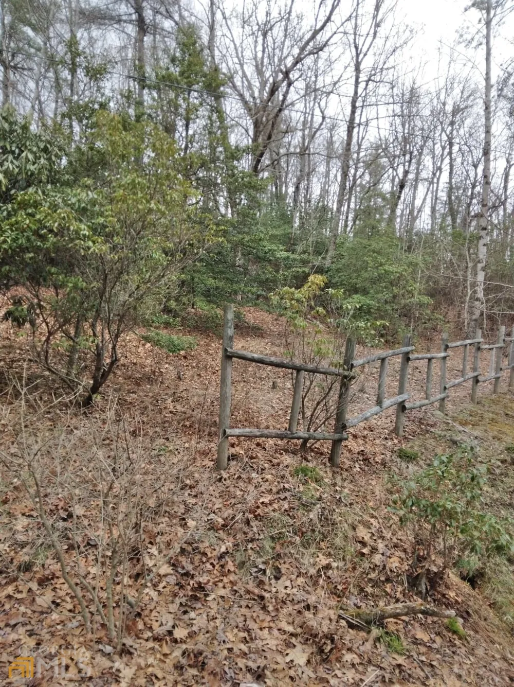 0 LOT 10 & 11 Honey Bear Dillard, GA 30537
