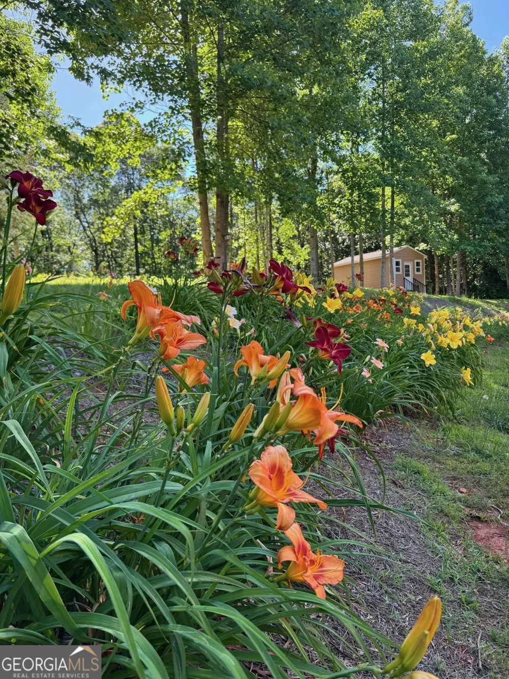 1583 Hickory Flat RD Gillsville, GA 30543