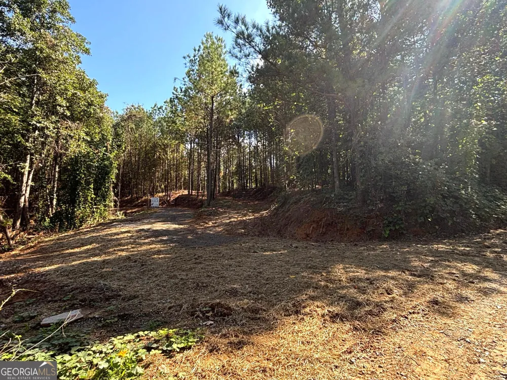 1 EAST Dry Pond RD Ranger, GA 30734