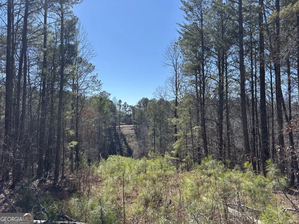1 EAST Dry Pond RD Ranger, GA 30734