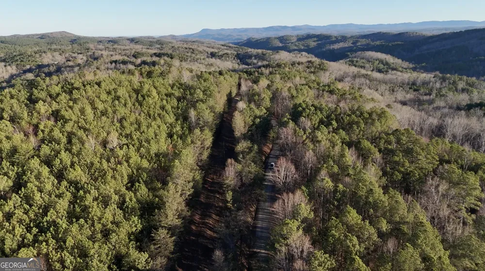 1 EAST Dry Pond RD Ranger, GA 30734