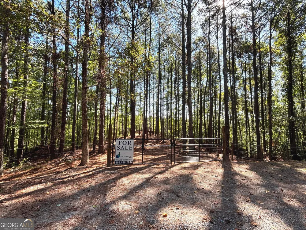 2 EAST Dry Pond RD Ranger, GA 30734
