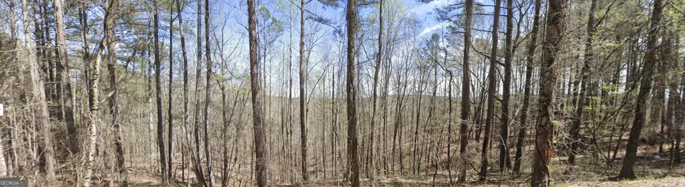 2 EAST Dry Pond RD Ranger, GA 30734