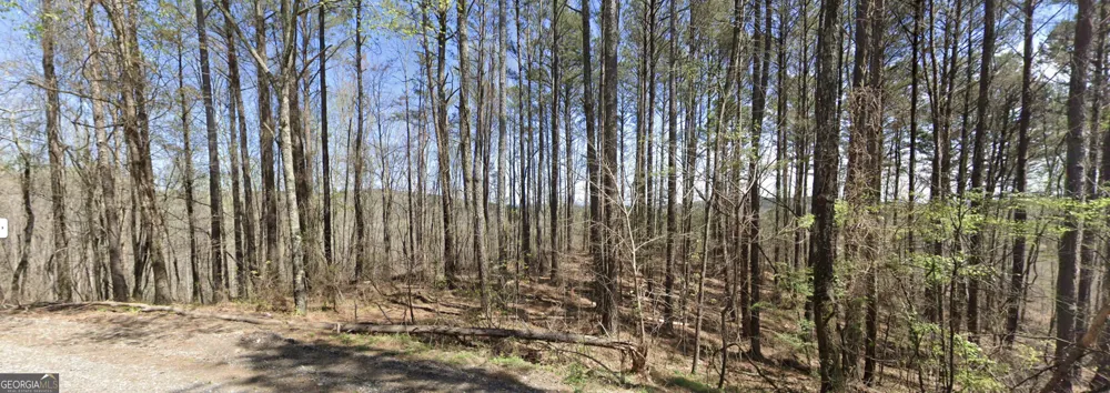 2 EAST Dry Pond RD Ranger, GA 30734