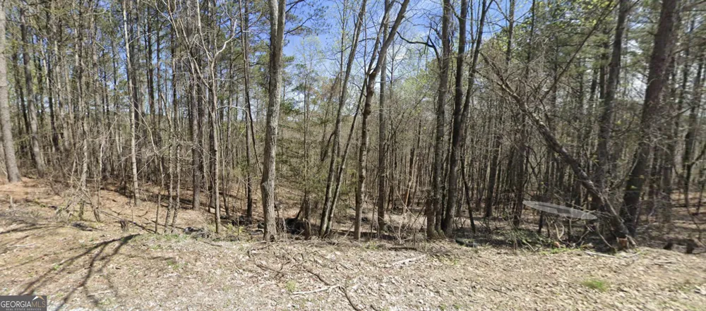 2 EAST Dry Pond RD Ranger, GA 30734
