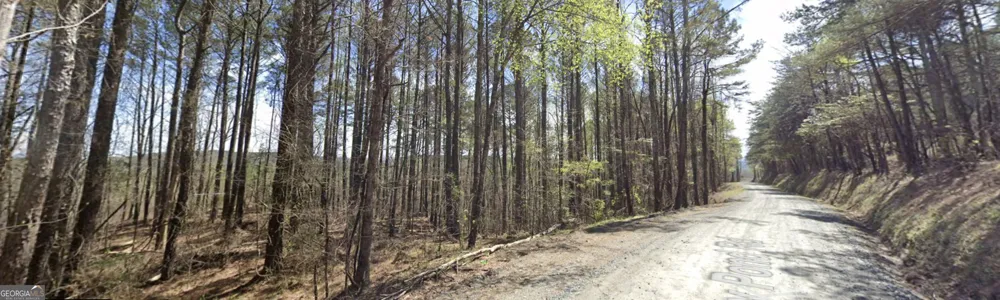 2 EAST Dry Pond RD Ranger, GA 30734