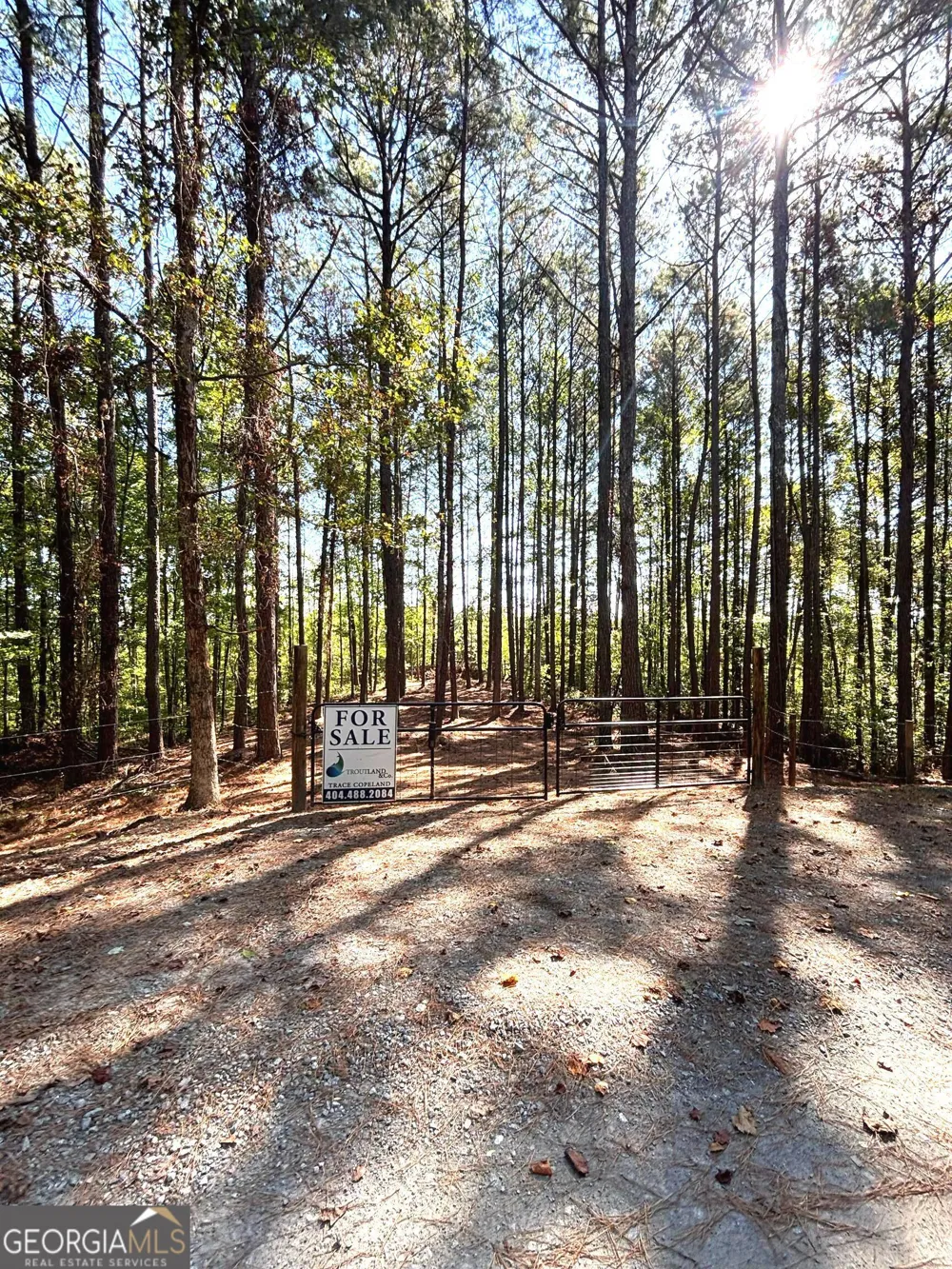 2 EAST Dry Pond RD Ranger, GA 30734