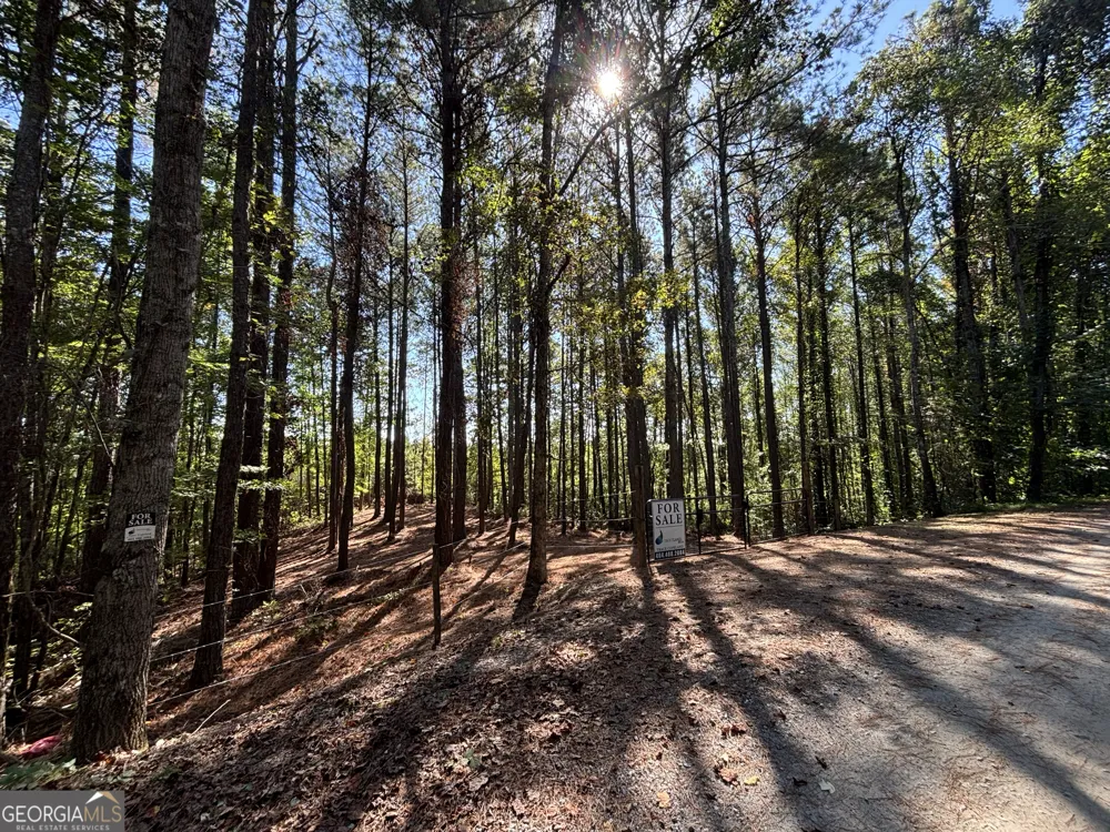 2 EAST Dry Pond RD Ranger, GA 30734