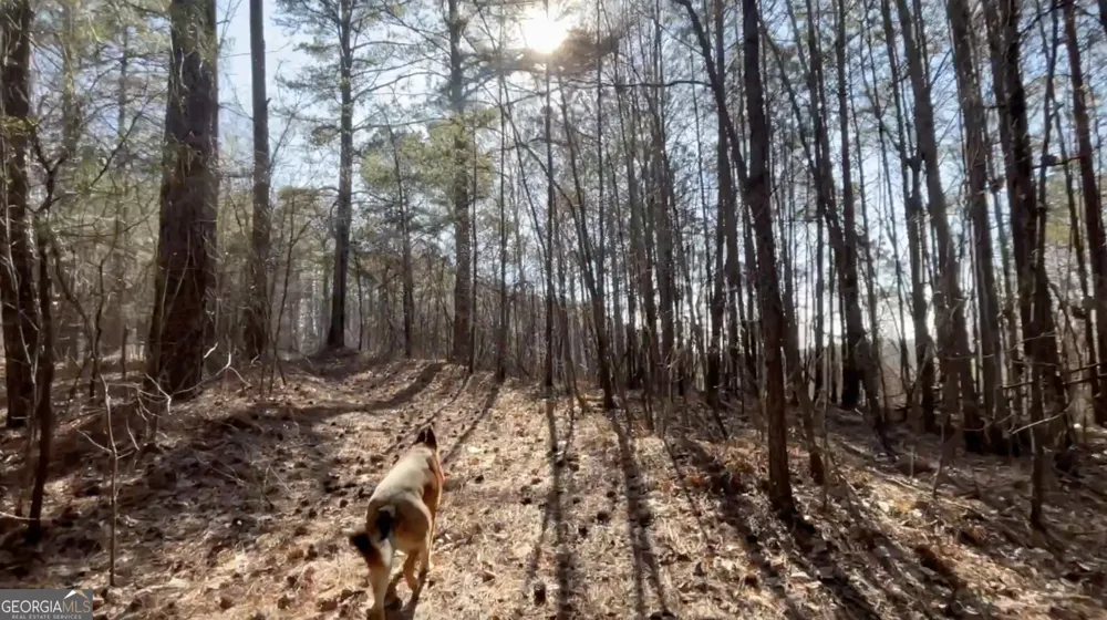 2 WEST Dry Pond RD Ranger, GA 30734