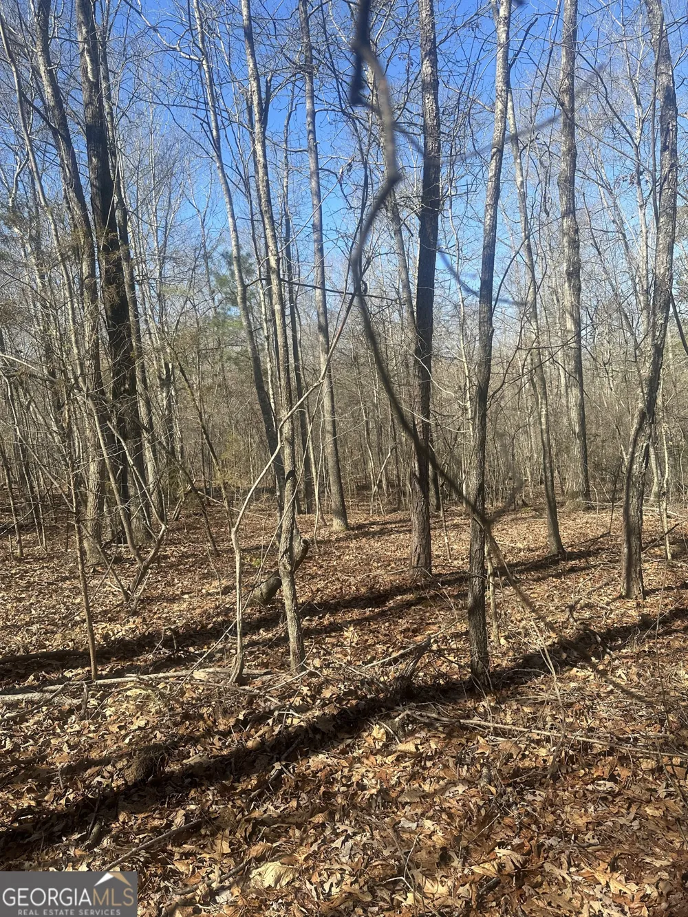0 Summit View RD Jackson, GA 30233