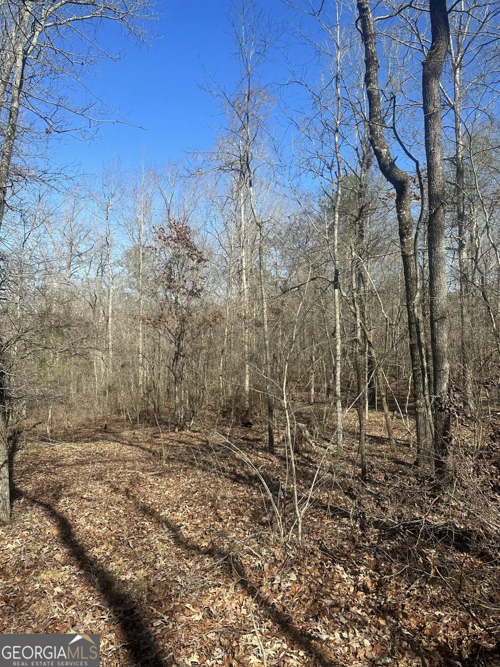 0 Summit View RD Jackson, GA 30233