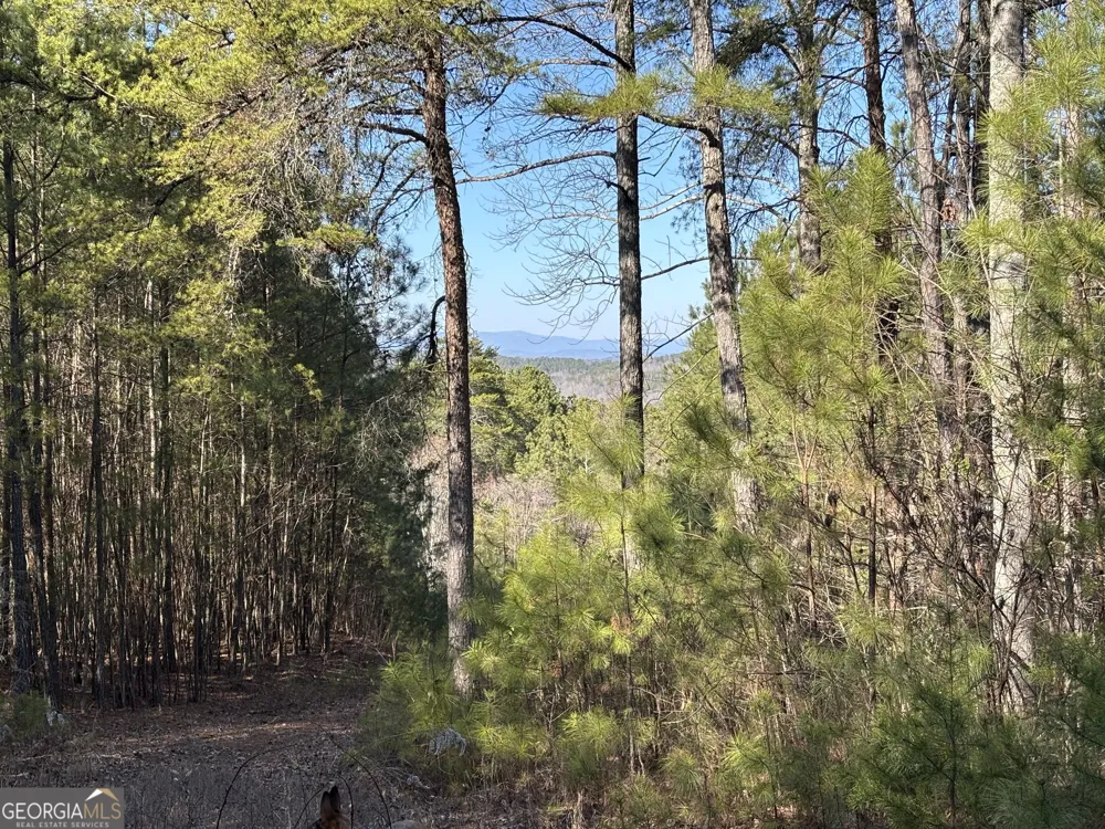 5 WEST Dry Pond RD Ranger, GA 30734