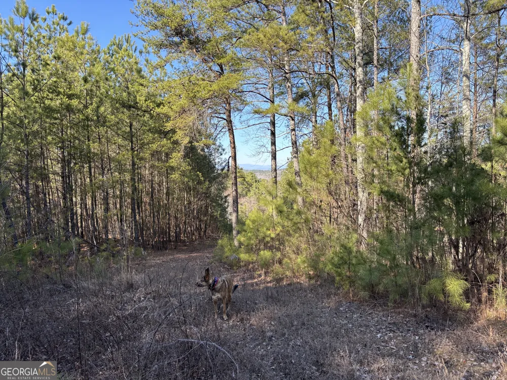5 WEST Dry Pond RD Ranger, GA 30734