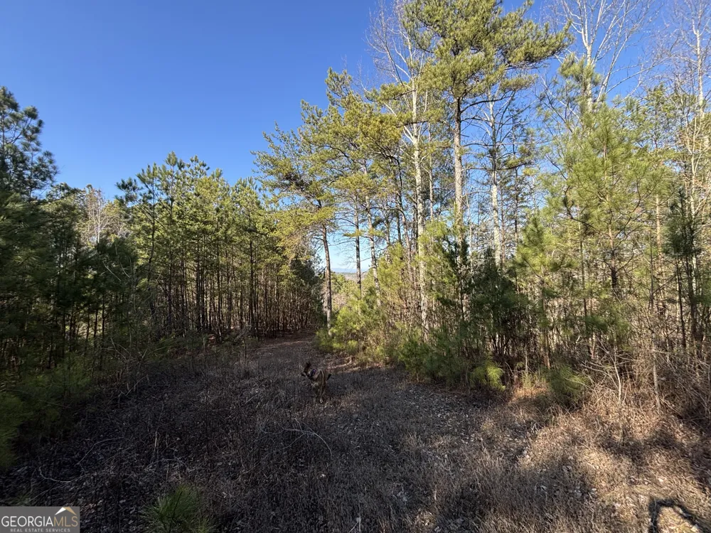 5 WEST Dry Pond RD Ranger, GA 30734