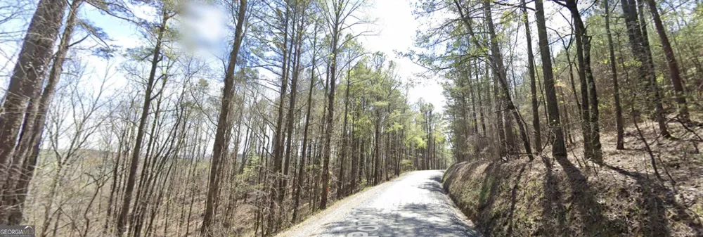 5 WEST Dry Pond RD Ranger, GA 30734