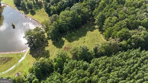 LOT 1 Snote Jones RD