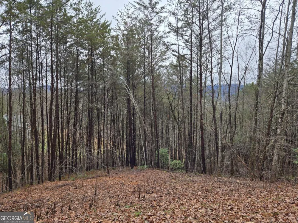 LOT 101 Eagles View CRES Hayesville, NC 28904