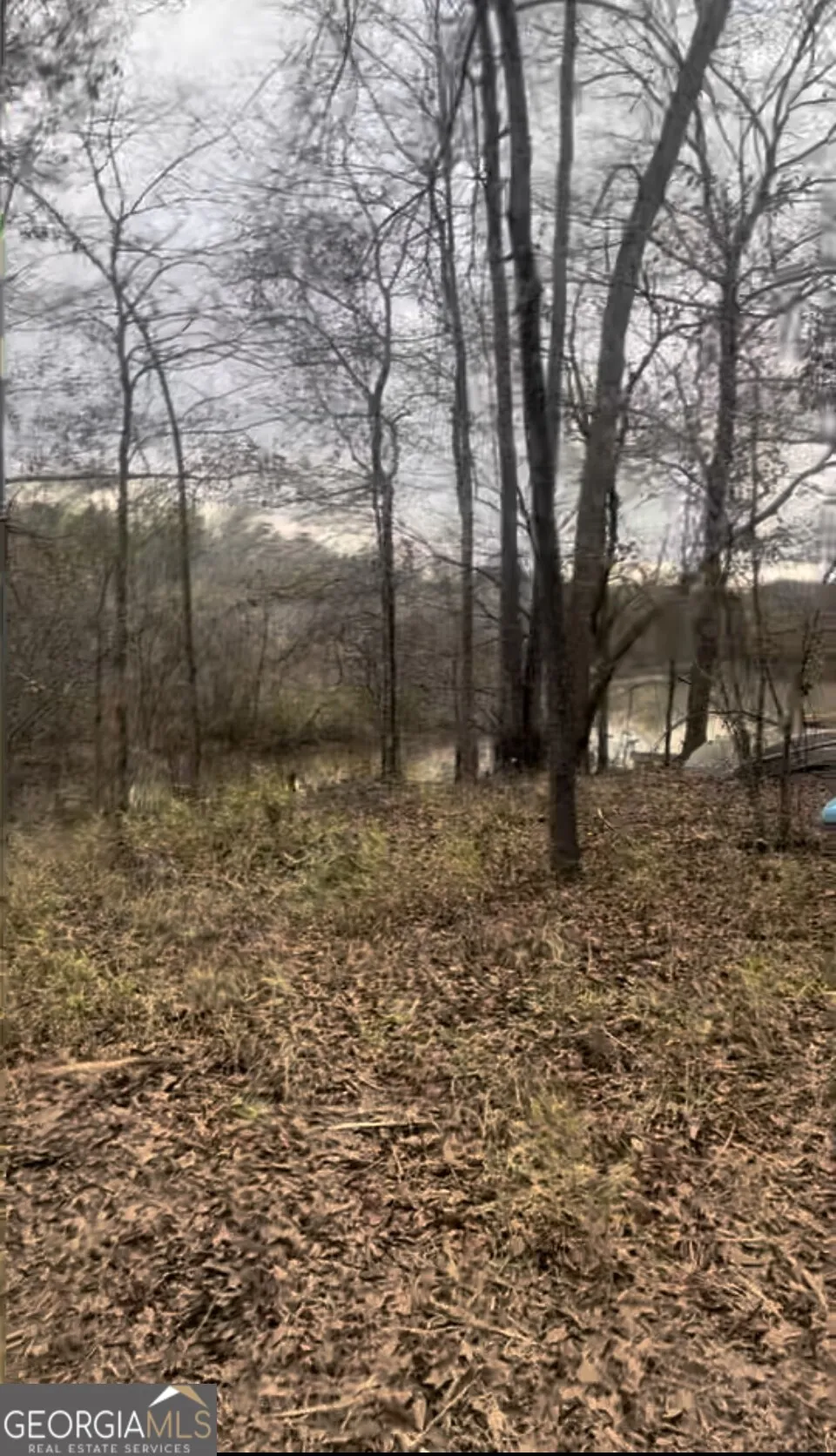 166 Lake Crest DR Sparta, GA 31087