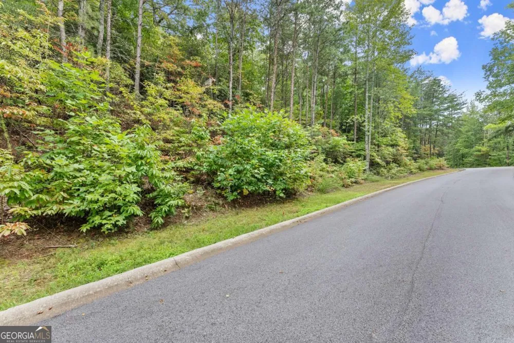 0 Yates CIR Clarkesville, GA 30523