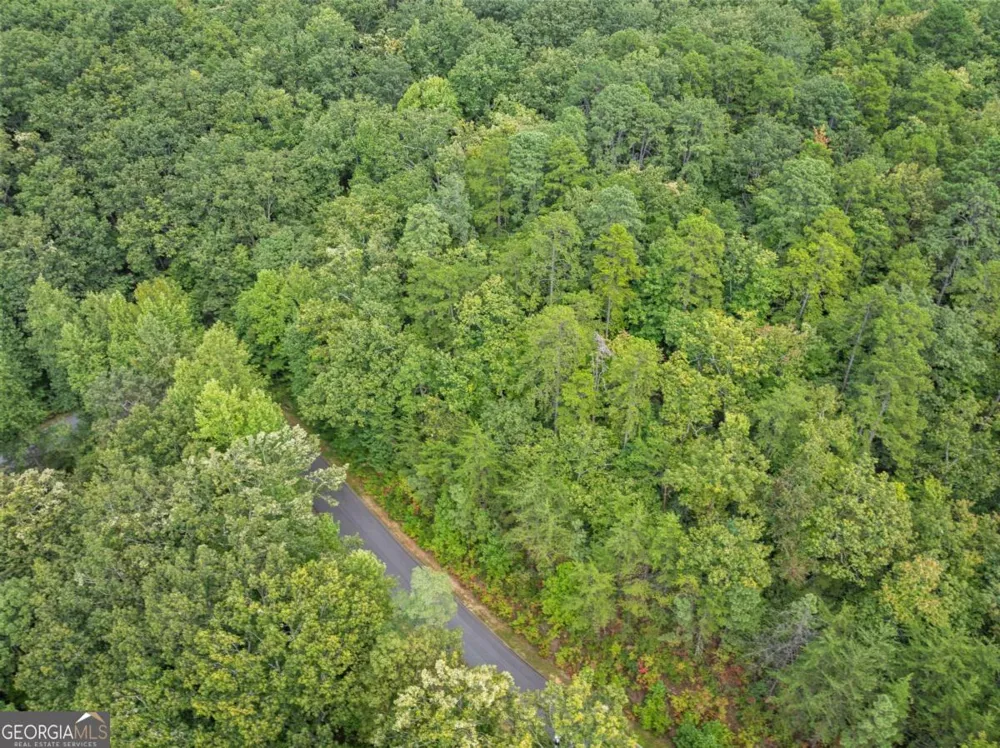 0 Yates CIR Clarkesville, GA 30523