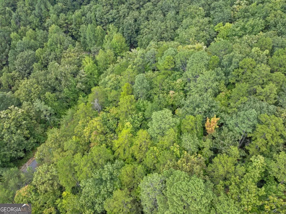 0 Yates CIR Clarkesville, GA 30523