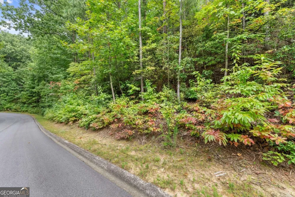 0 Yates CIR Clarkesville, GA 30523