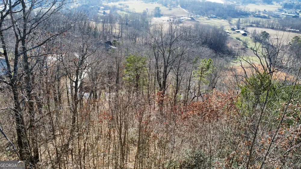 54 Carlin RD Hiawassee, GA 30546
