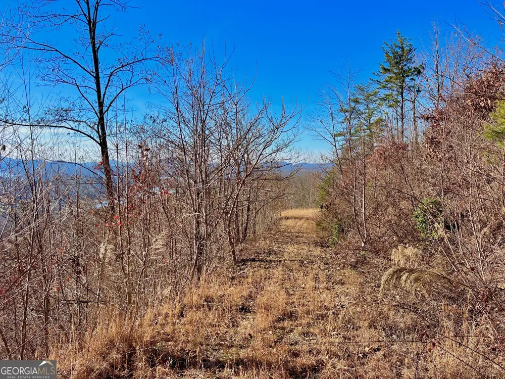 54 Carlin RD Hiawassee, GA 30546