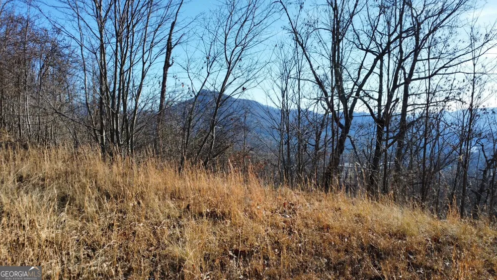 54 Carlin RD Hiawassee, GA 30546