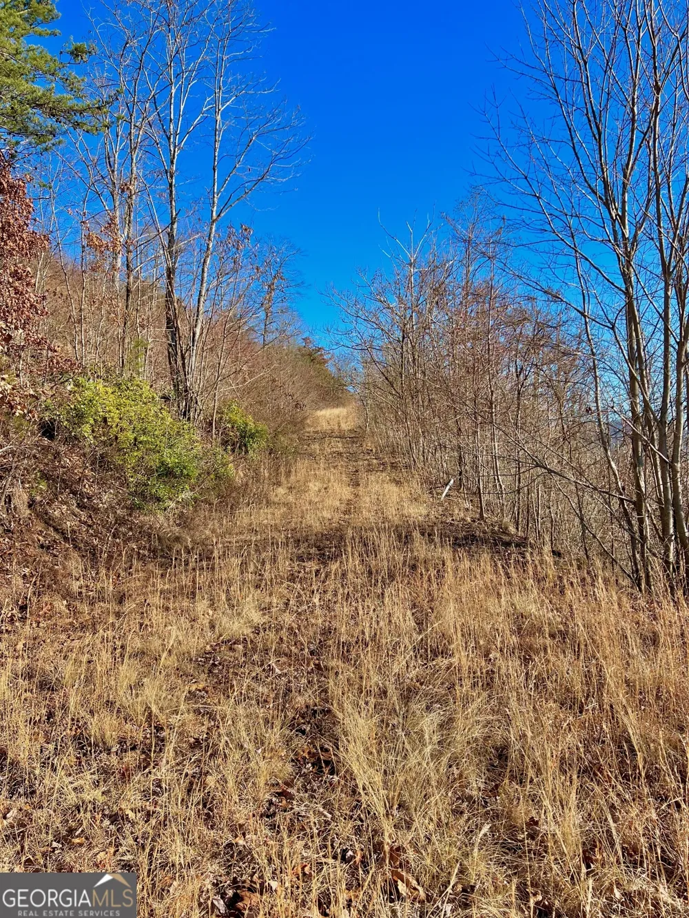 54 Carlin RD Hiawassee, GA 30546