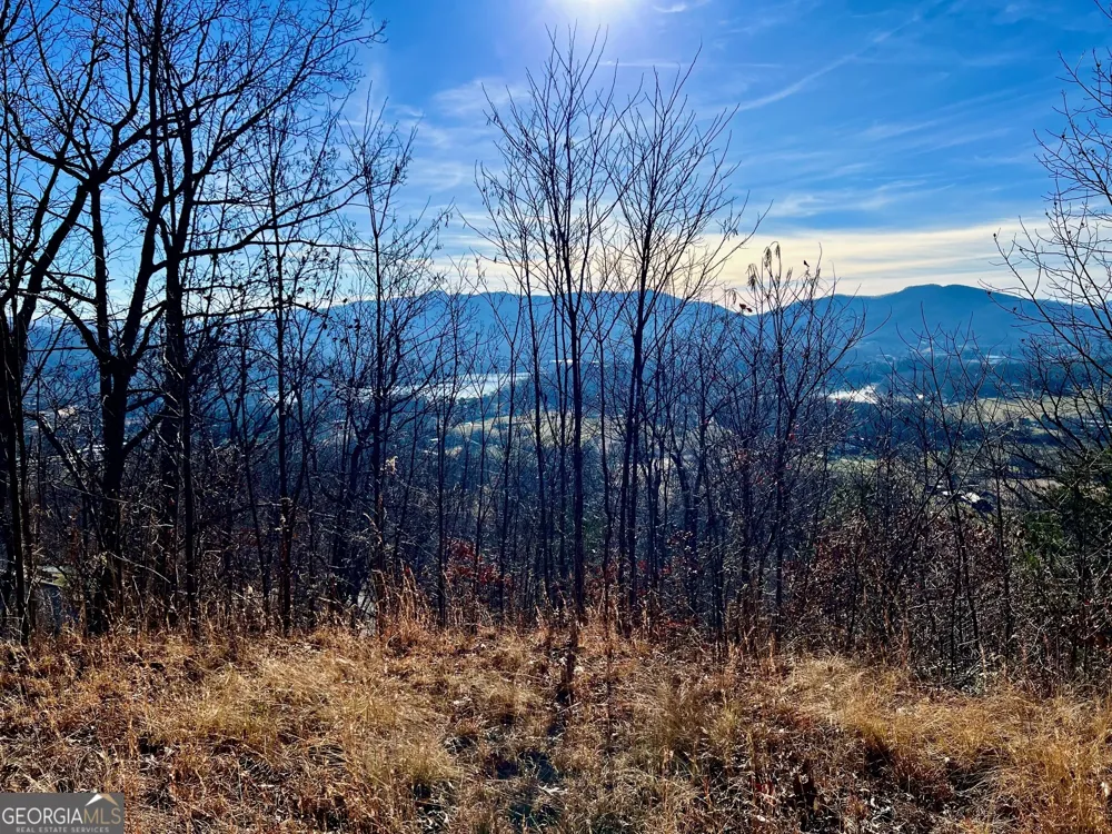 54 Carlin RD Hiawassee, GA 30546