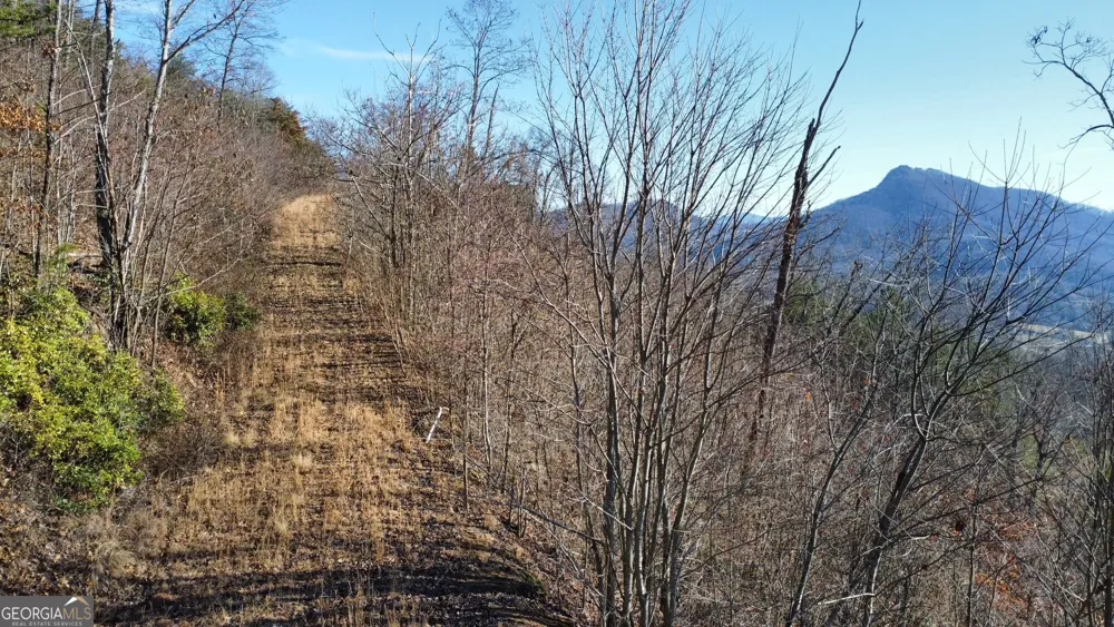 54 Carlin RD Hiawassee, GA 30546
