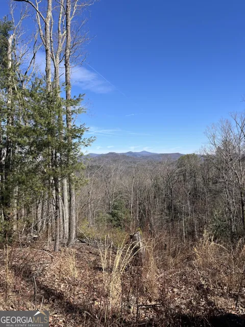 0 Eastman MTN RD
