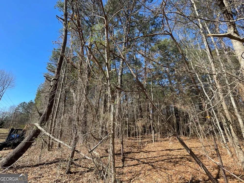 0 Brown Bridge RD Covington, GA 30014