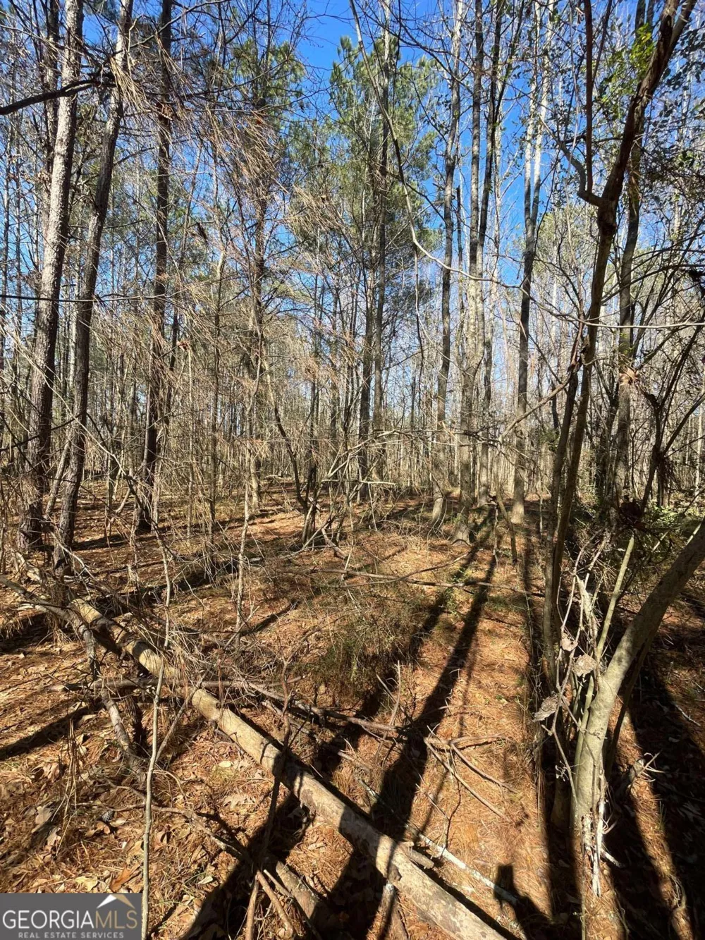 0 Brown Bridge RD Covington, GA 30014