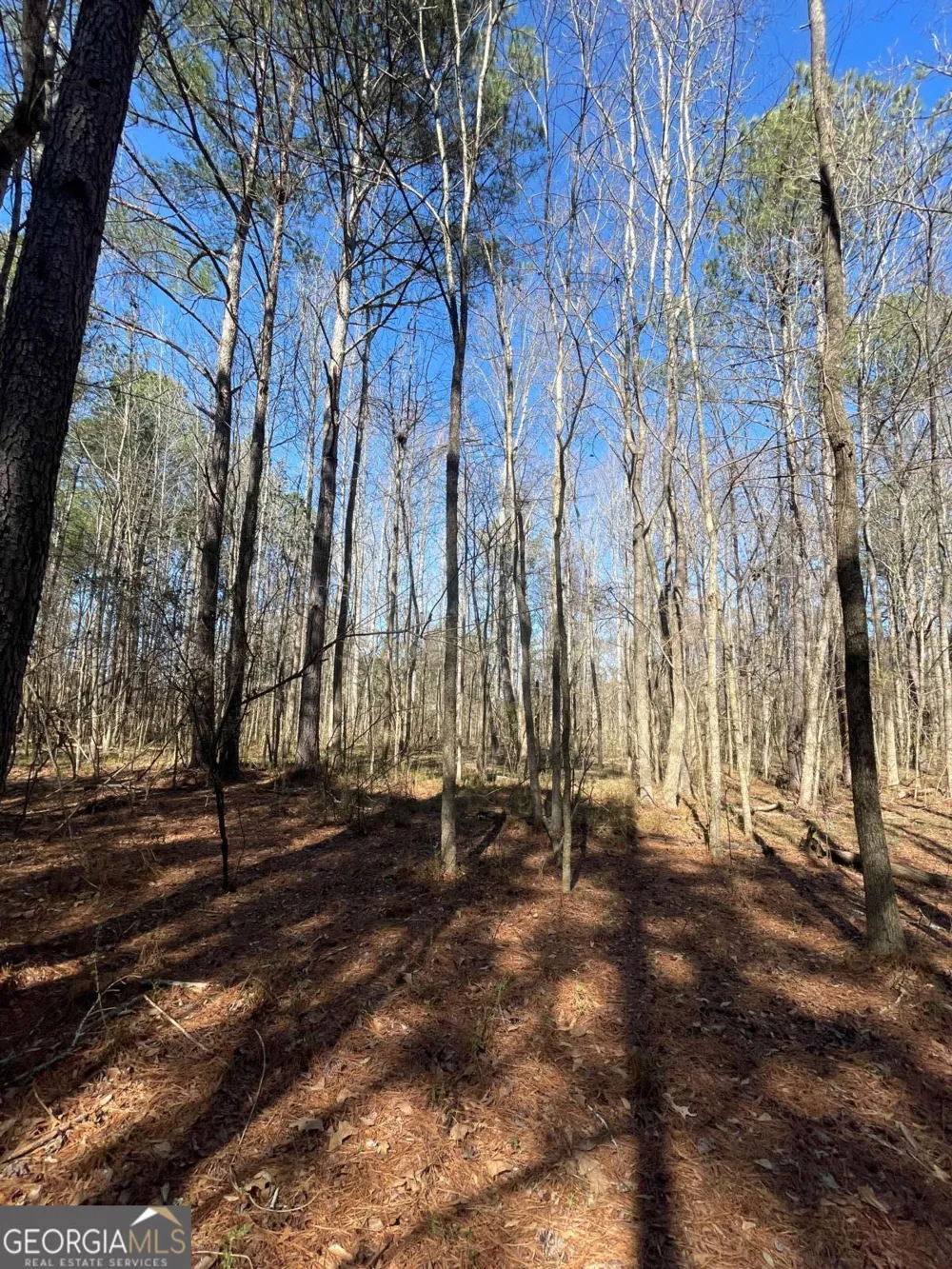0 Brown Bridge RD Covington, GA 30014