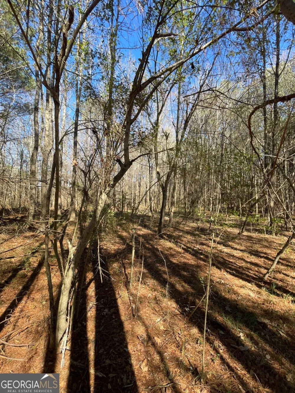 0 Brown Bridge RD Covington, GA 30014