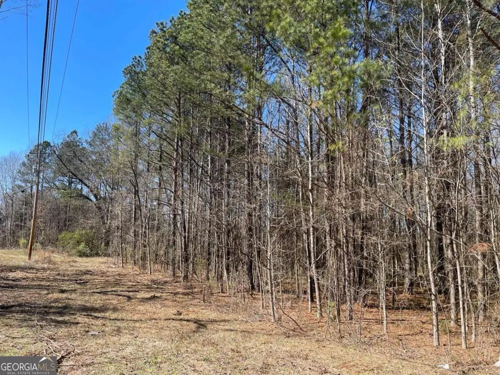 0 Brown Bridge RD Covington, GA 30014