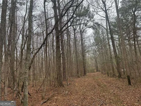 0 Indian Creek TRL