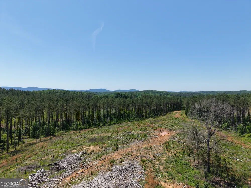 0 Bishop Loop RD Rydal, GA 30171
