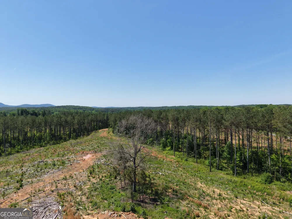 0 Bishop Loop RD Rydal, GA 30171
